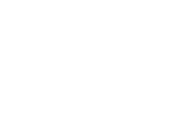 Expo Quantic